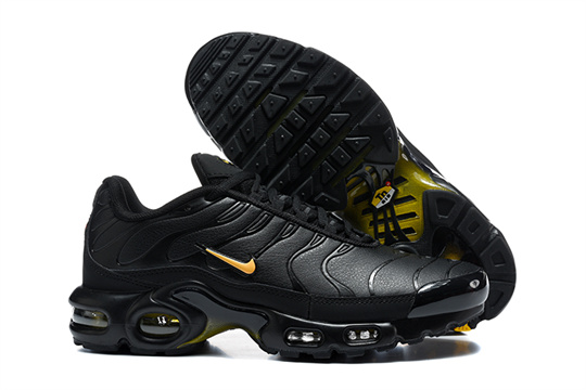 20425be5 Air Max Plus-20260819