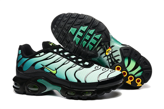 2b07c955 Air Max Plus-20260819