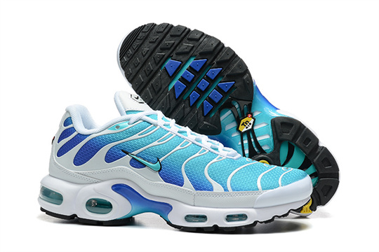 2db13cb9 Air Max Plus-20260819