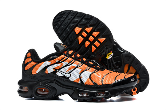 4054c3a1 Air Max Plus-20260819