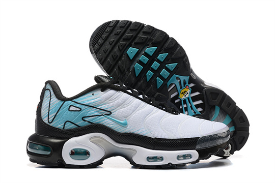 a8e58466 Air Max Plus-20260819