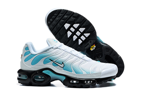 a93dc28a Air Max Plus-20260819