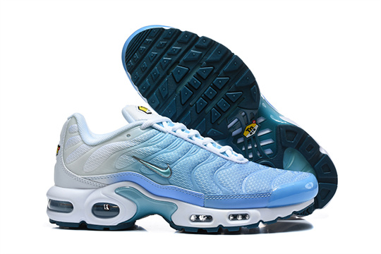 acc44a22 Air Max Plus-20260819