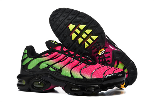 c0496c20 Air Max Plus-20260819