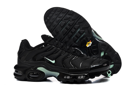 dad4772e Air Max Plus-20260819