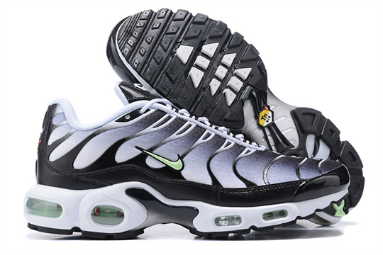 f0210268 Air Max Plus-20260819